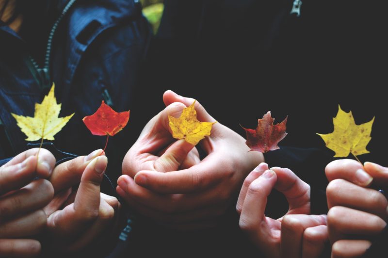 Vielfalt Herbstblätter